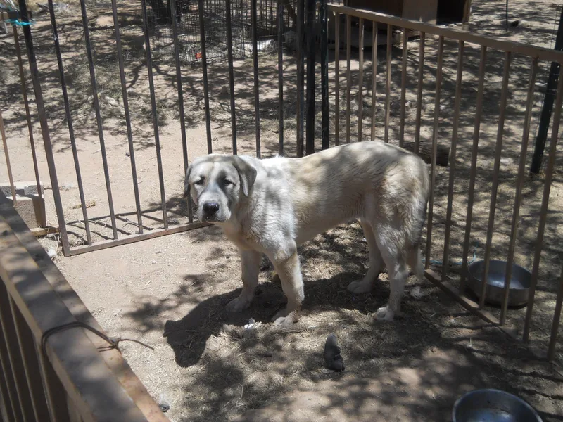 Camelot's Ranch photo 1