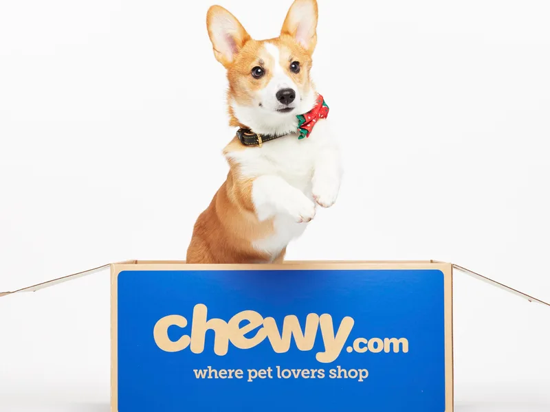 Campbell Ranch Corgis