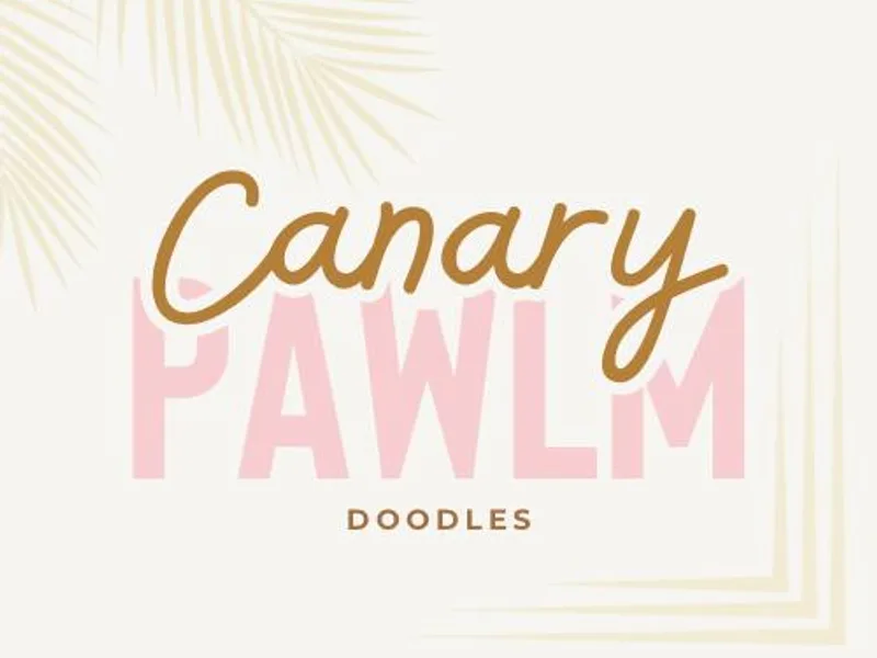 Canary Pawlm Doodles