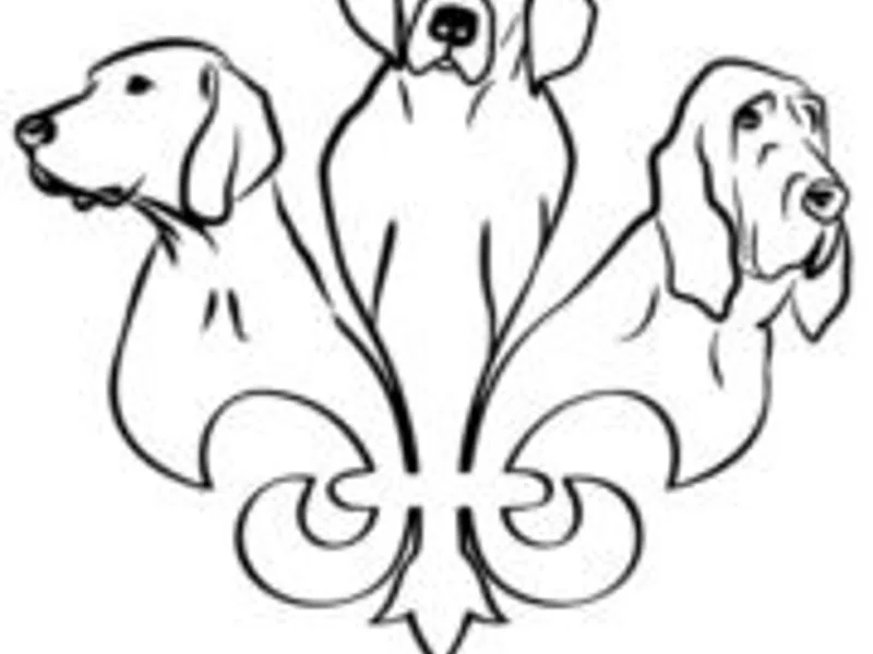 Canis Magnus Kennels LLC