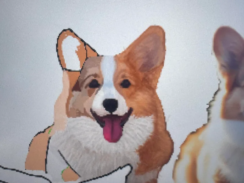 Canyon River Corgis