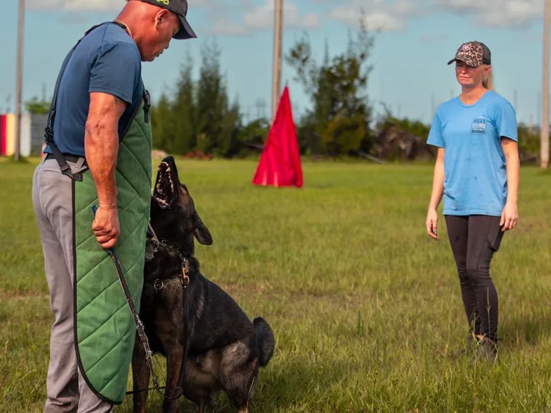 Carbon Bold K9 Services