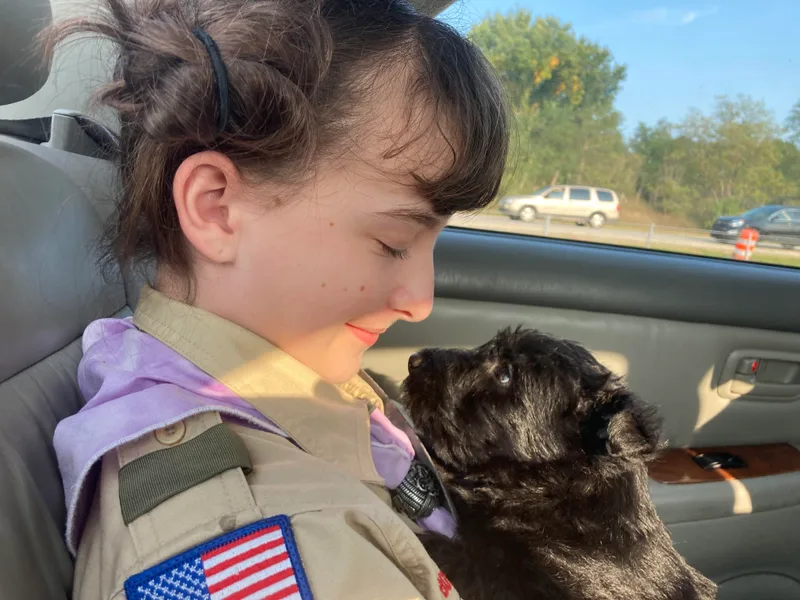 Carnes Croft Scotties