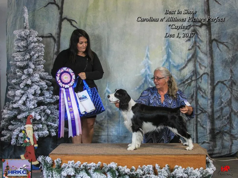 Carolina Kennels