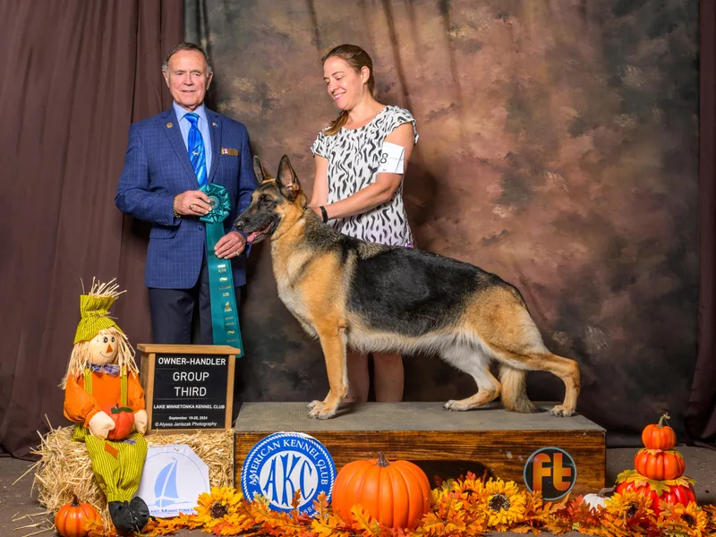 Casamoko German Shepherds