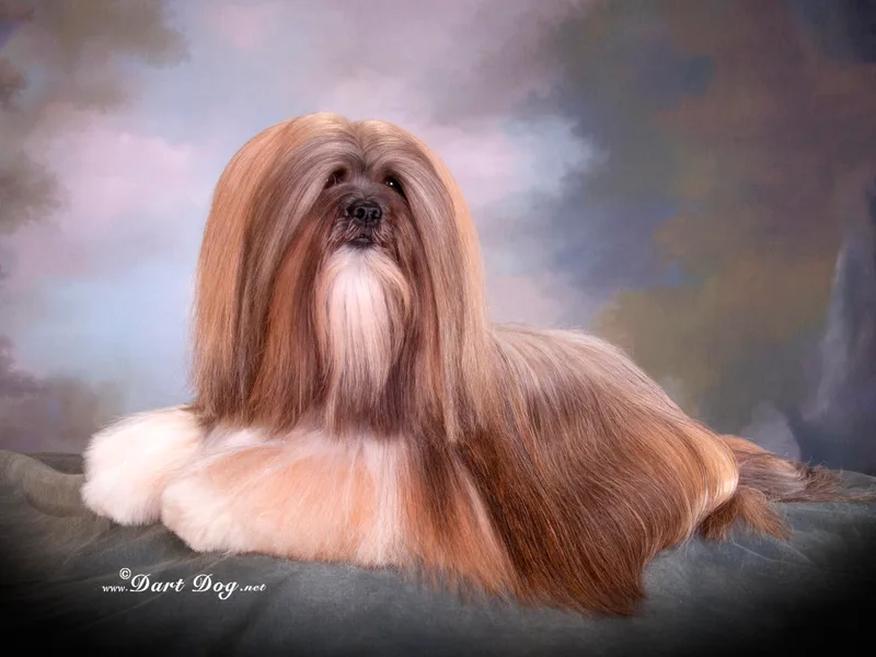 Cassandra de la Rosa