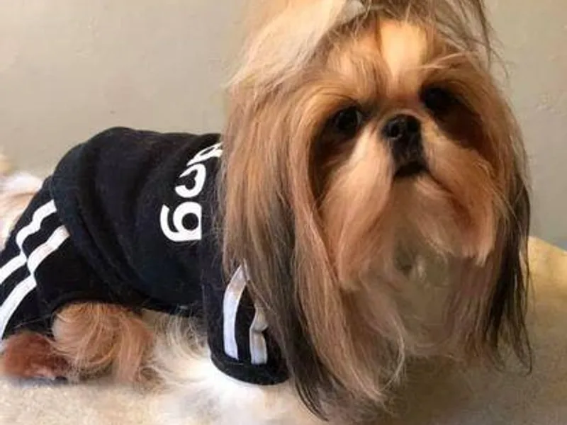 Cassbreeclassy Angel's Legacy