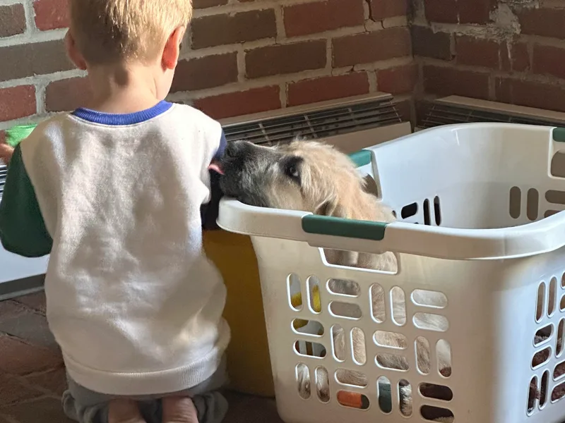 Castle Keep Hounds, LLC