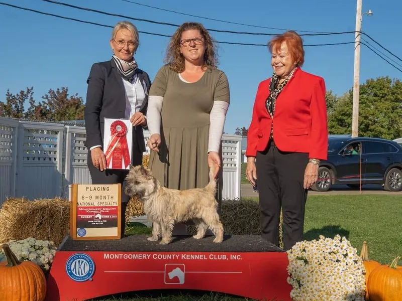 CastleRock Cairns photo 1