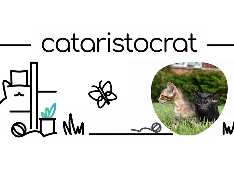 Cataristocrat photo 1