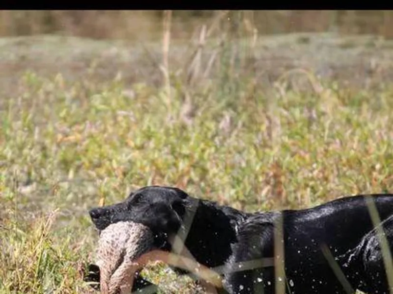 Catherine  Lynn Slack