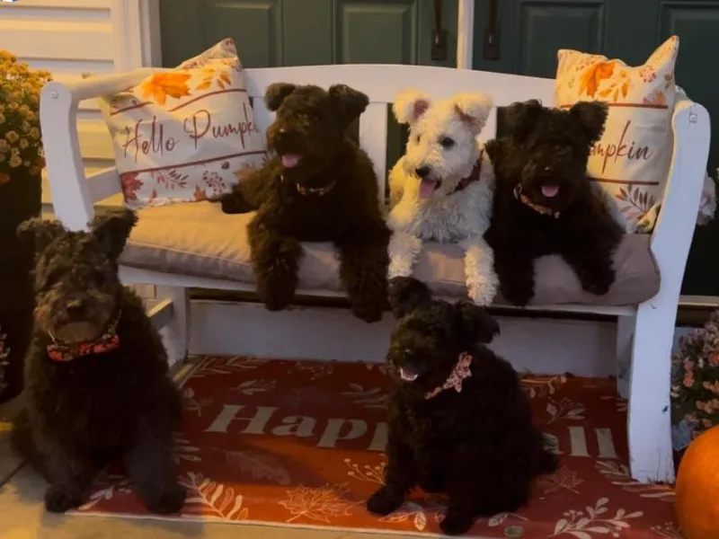 Catherine Medina-DeVilliers