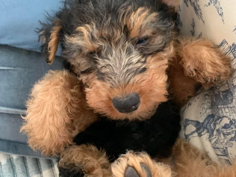 Cathy Francis photo 1