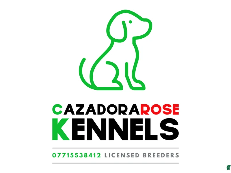 Cazadorarose Kennels photo 1