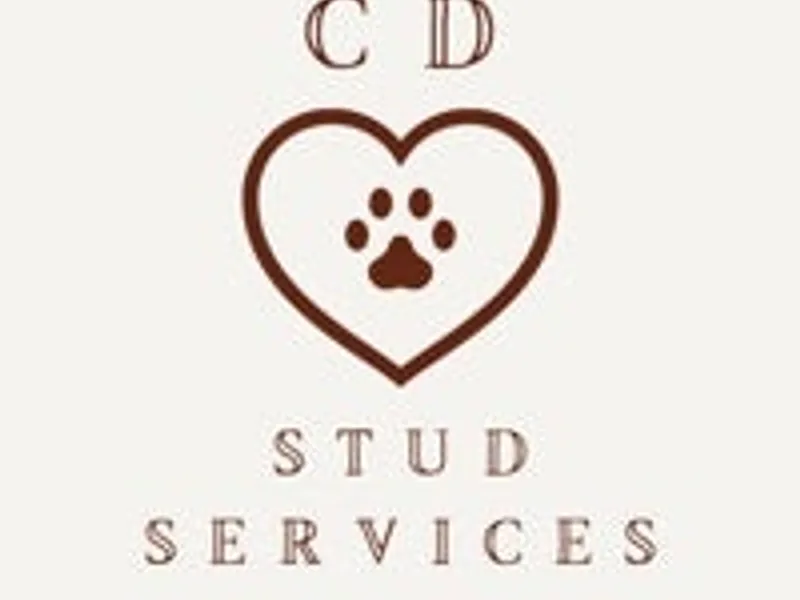 CD Stud Services - Licensed Breeder photo 1