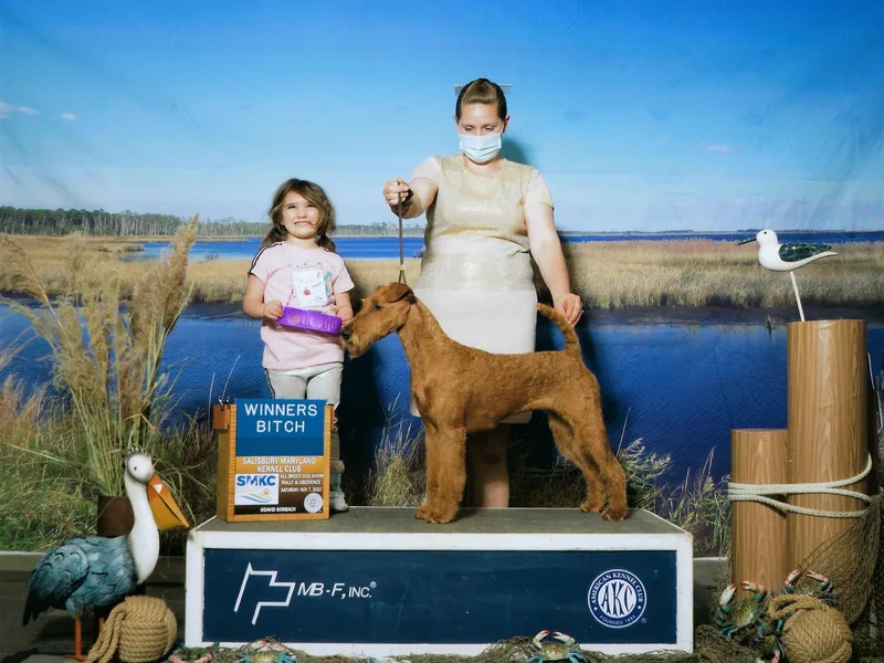 Ceallach Irish Terriers