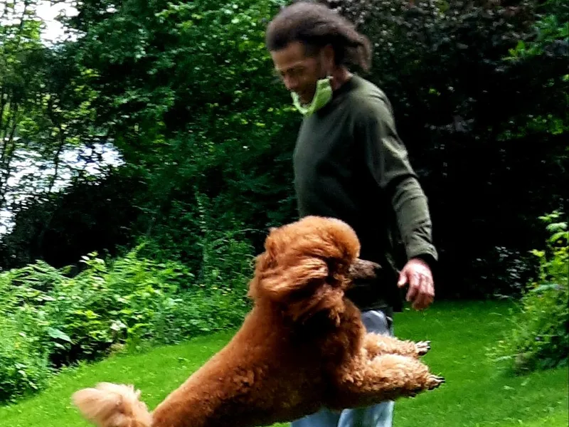 Celebrity Red Standards