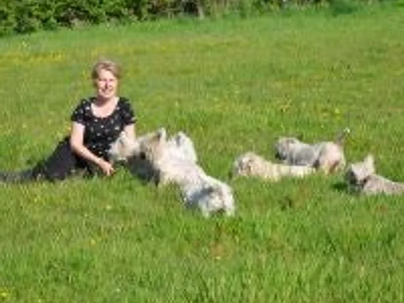 Celteswen photo 1