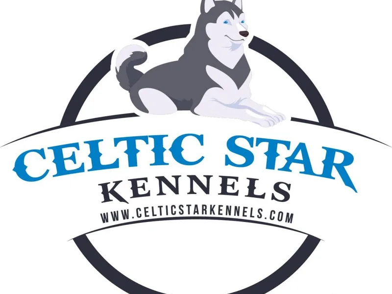 Celtic Star Kennels (Fully Licensed) photo 1