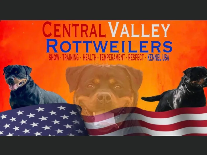 Central Valley Rottweilers