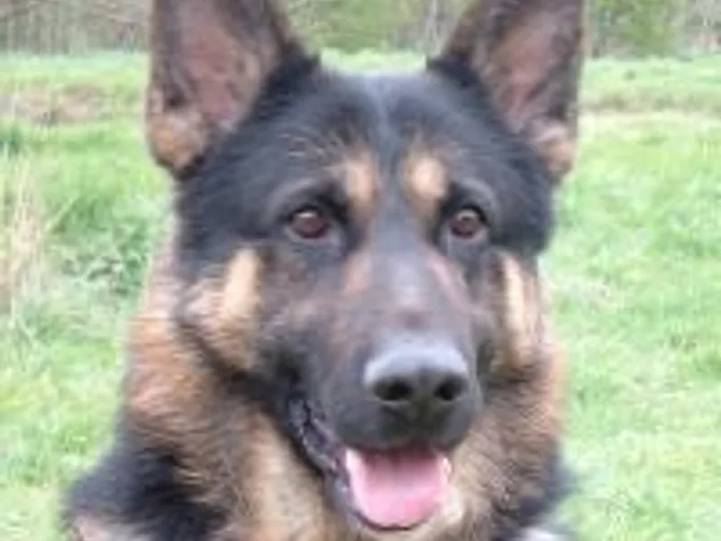 Chalksville photo 1