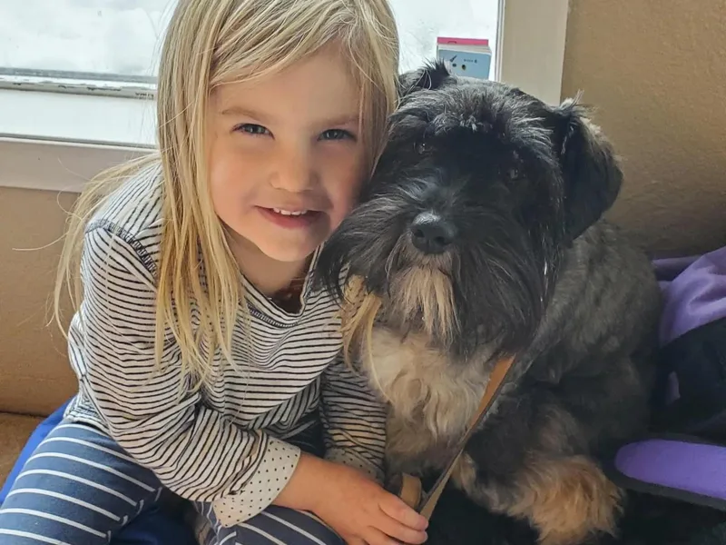 Charlie's Mini Schnauzers