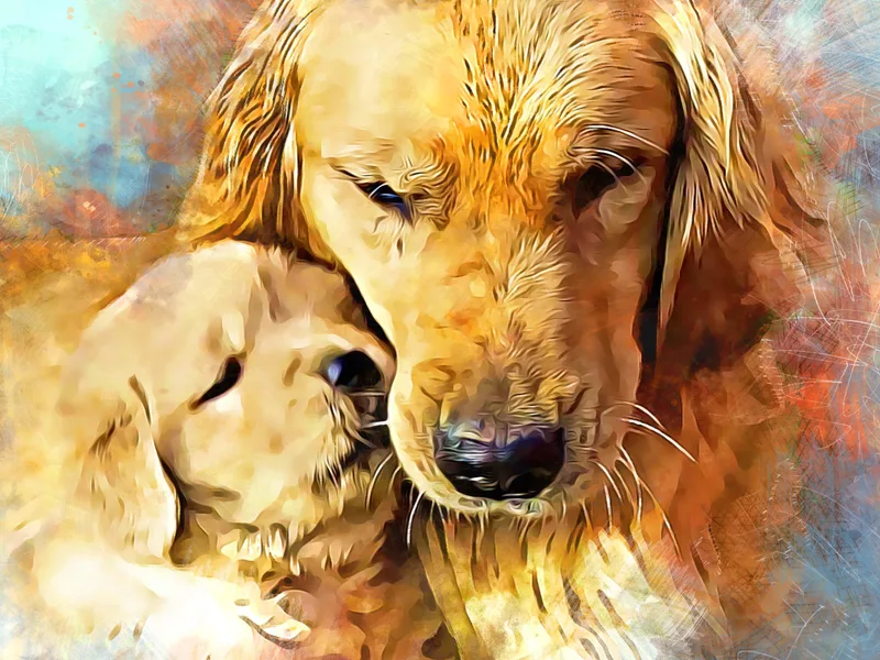 Charm City Golden Retrievers