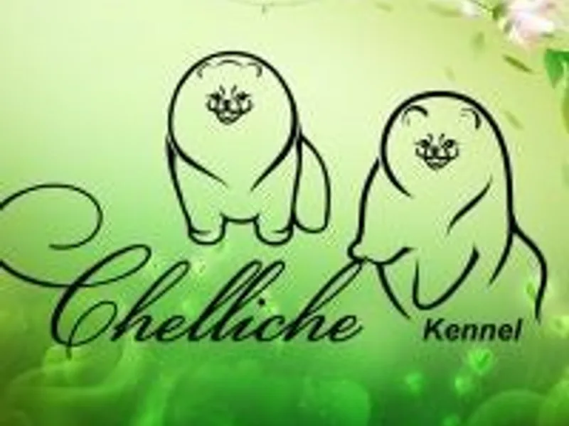 Chelliche photo 1