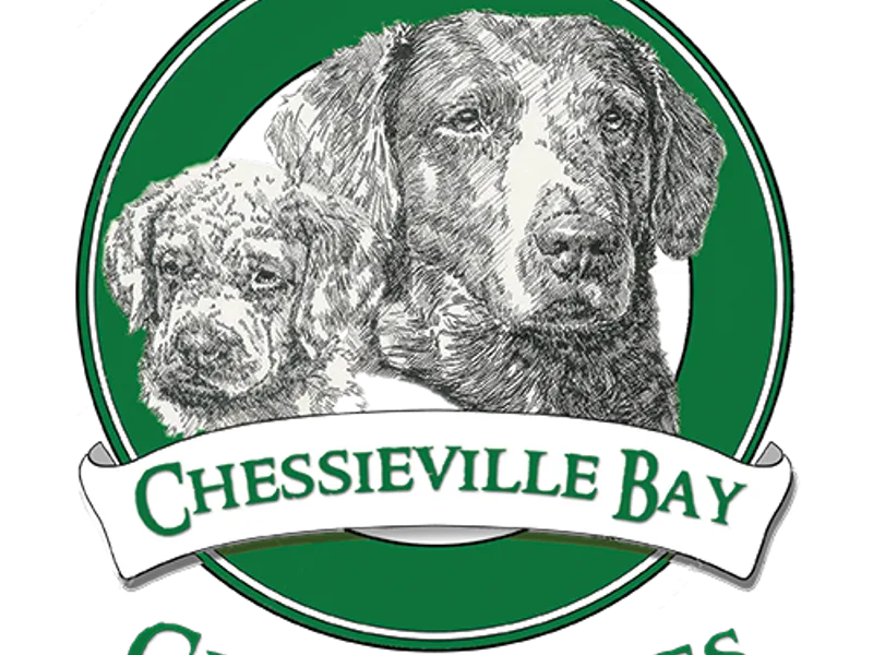 Chessieville Bay Enterprises LLC