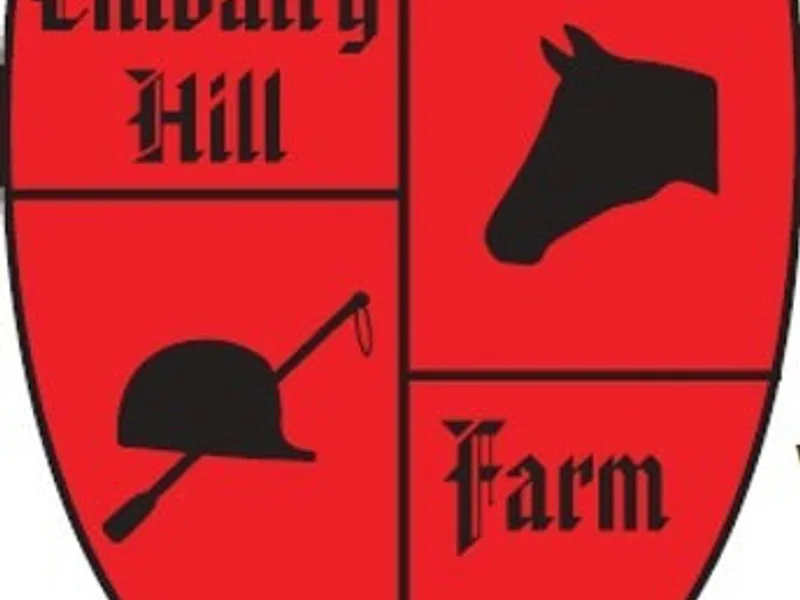 Chivalry Hill Collies