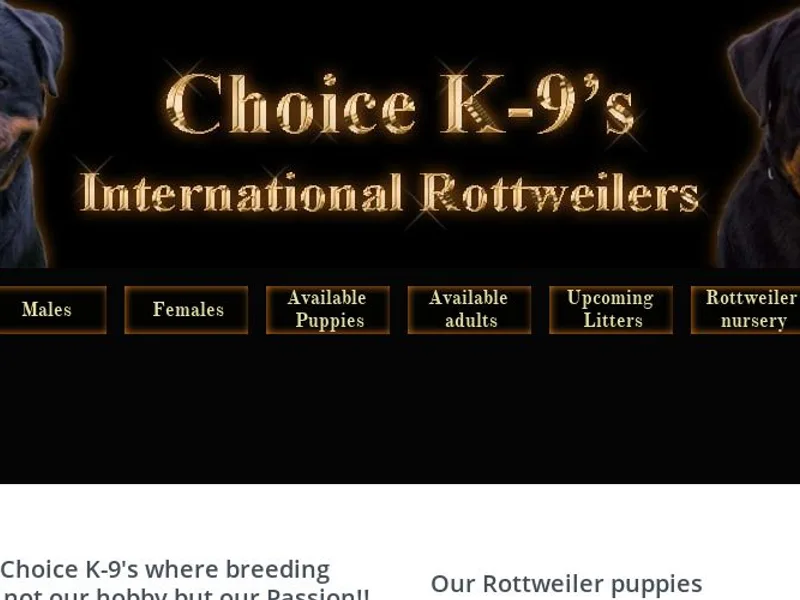 Choice K-9's