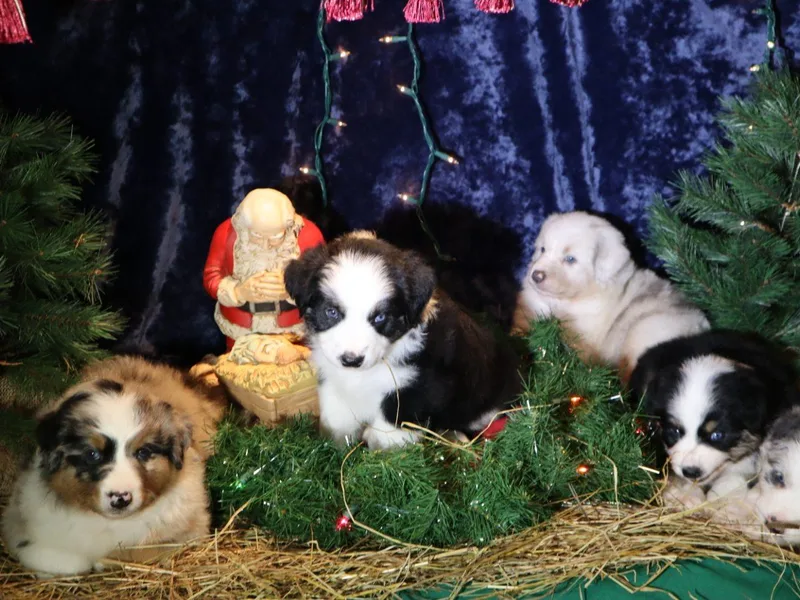 Christ the King Monastery