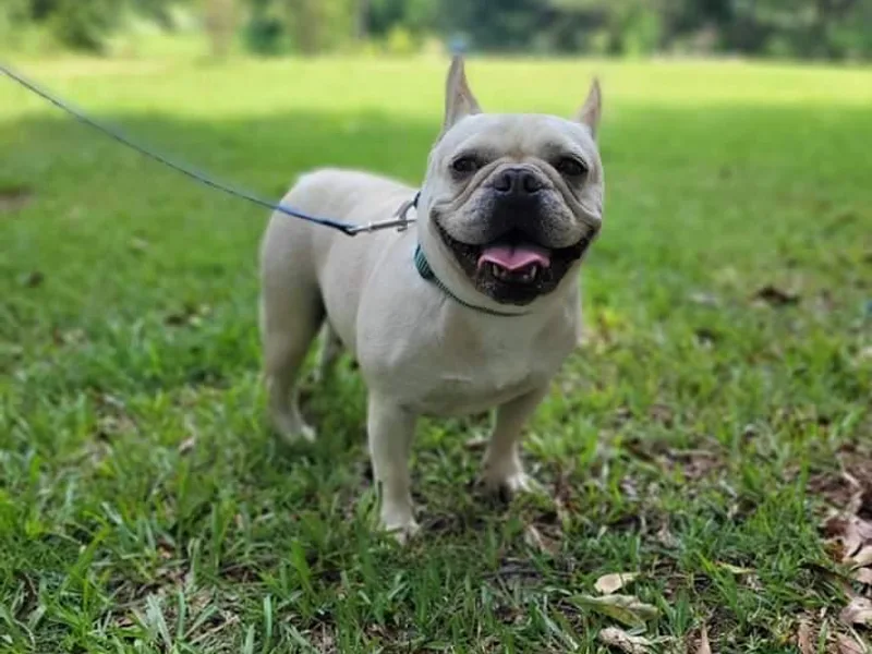 Christain's Kennels