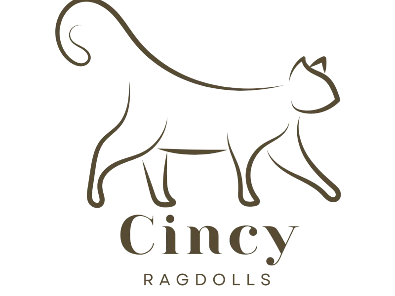 CINCYRAGDOLLS