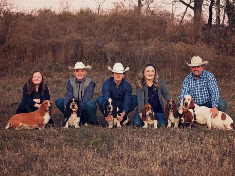 Circle H Basset Hounds