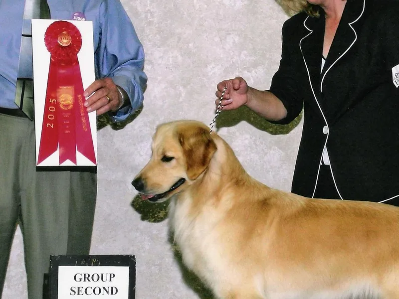 ​Claircrest Golden Retrievers