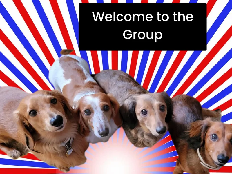 CLARK'S BREEDING PROGRAM