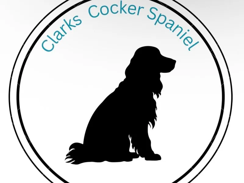 Clark’s Cocker Spaniels