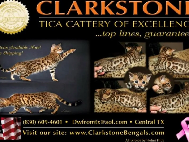 Clarkstone