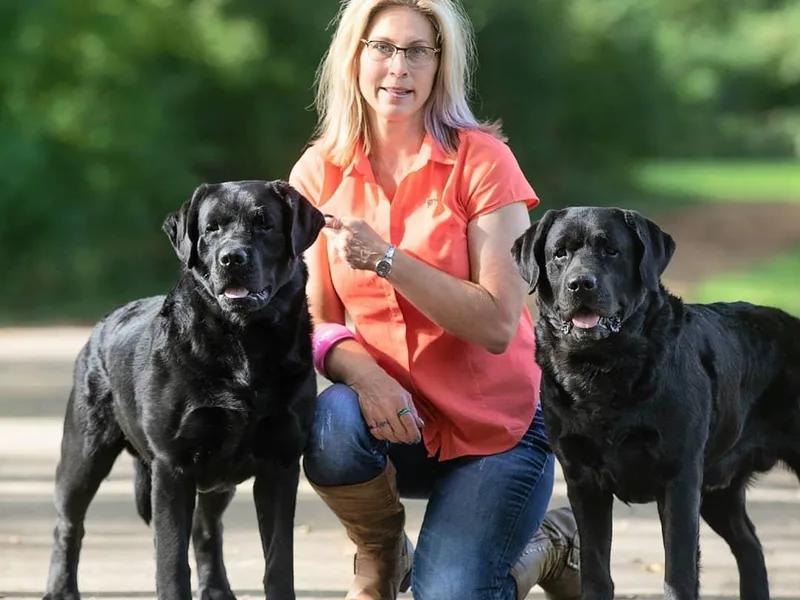 Clearwater Labradors