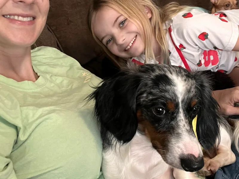 Cloud Nine Ranch Bullies