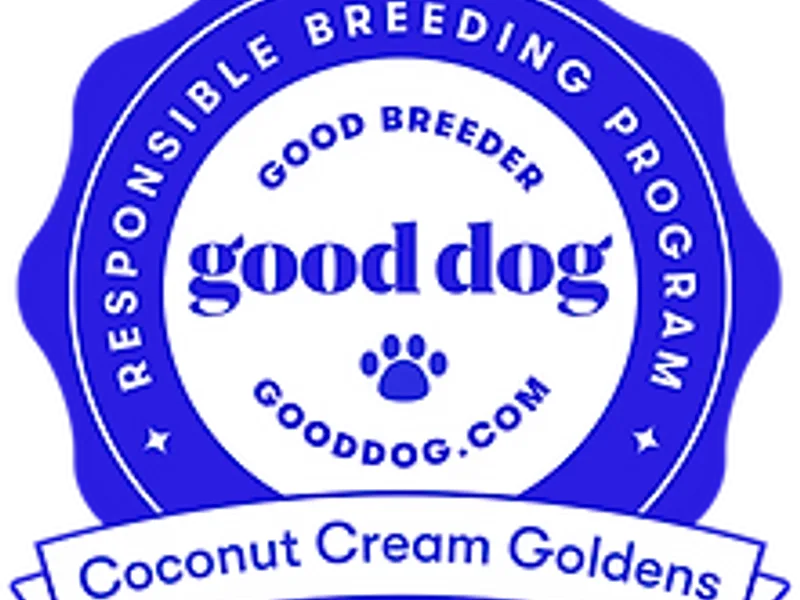 Coconut Cream Goldens