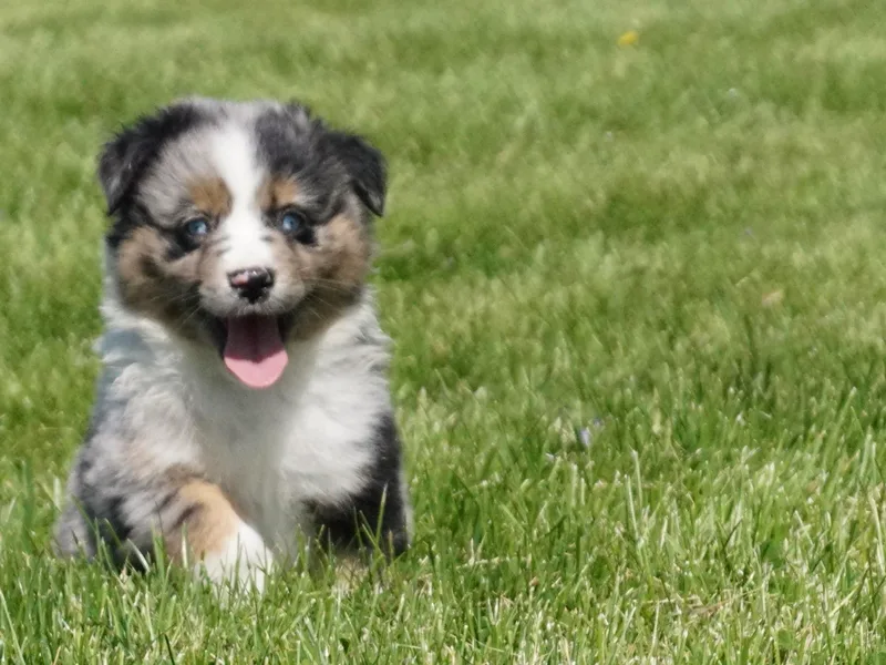 Coffee Run Spring at Miller Farms