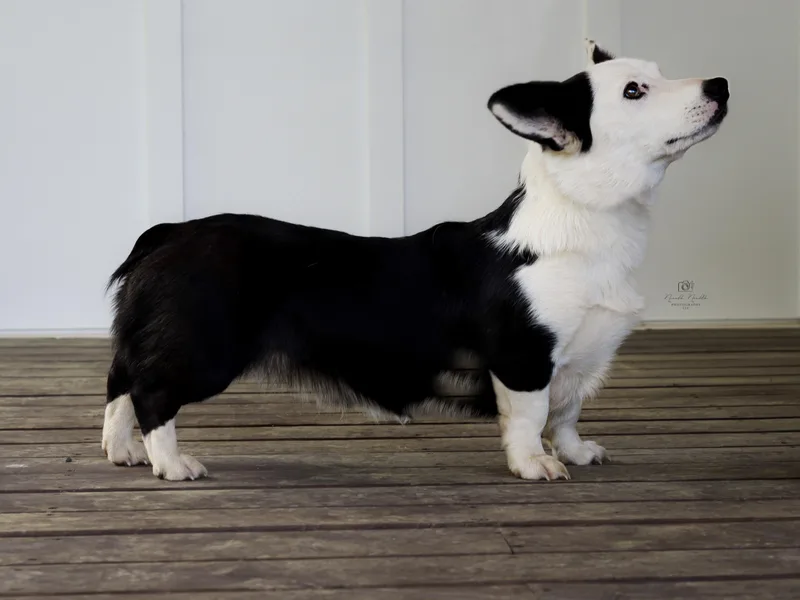 Cold Creek Family Farm LLC