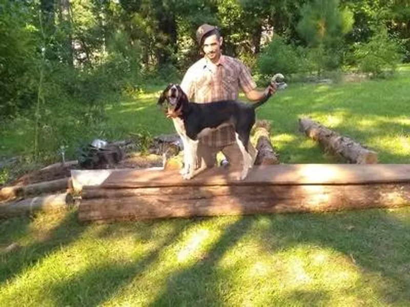 Con-Man Kennels photo 1