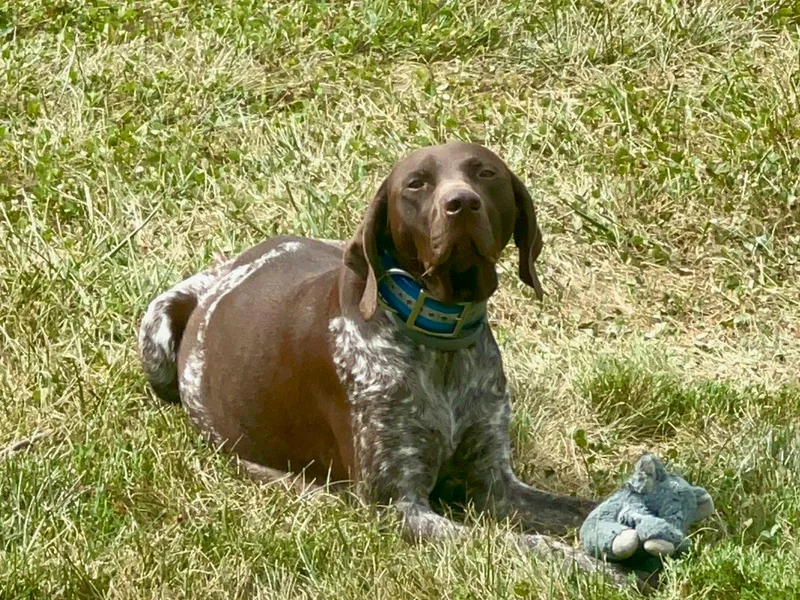 Copper Ridge Stables