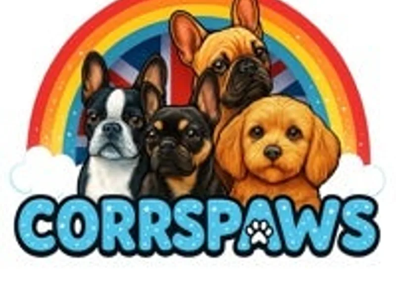CORRSPAWS photo 1
