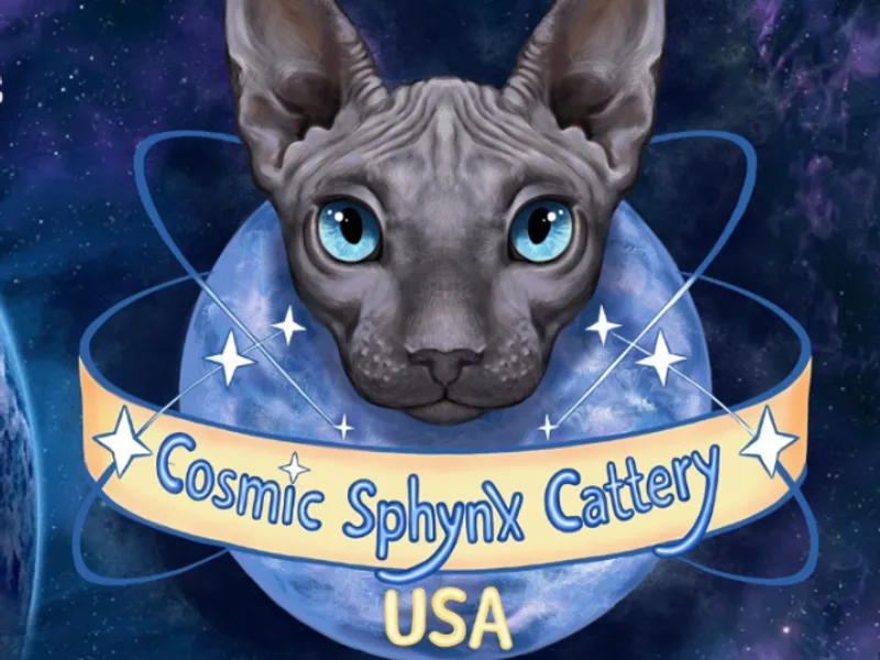 Cosmicsphynx photo 1