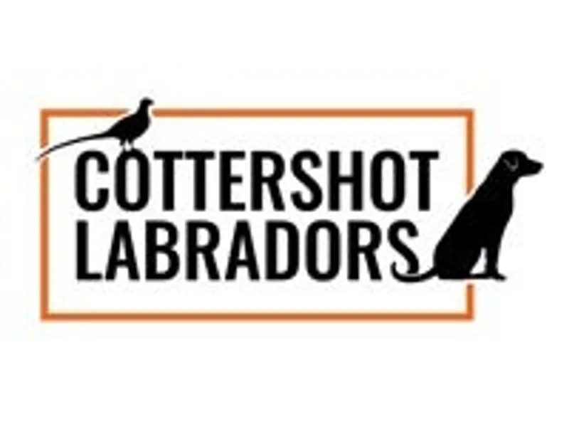 Cottershot Gundogs photo 1
