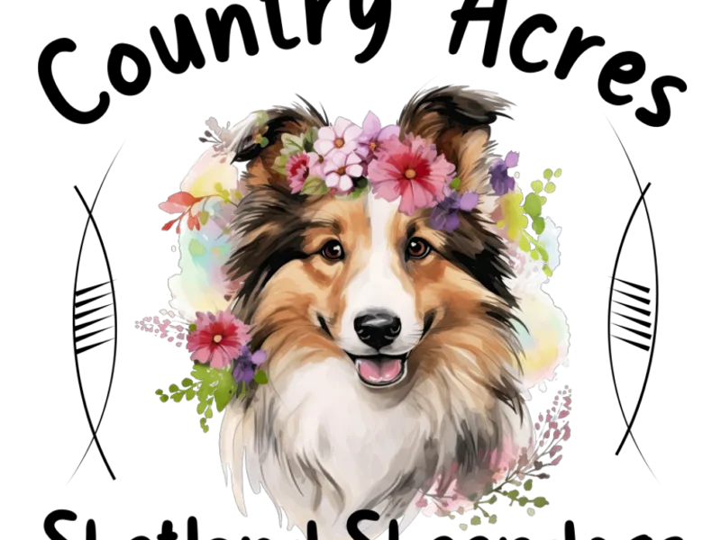 Country Acres Shetland Sheepdogs